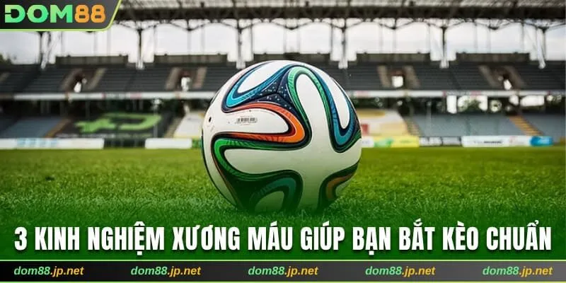 3 kinh nghiệm xương máu giúp bạn bắt kèo chuẩn