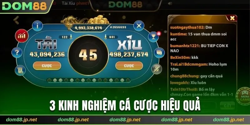 Bật mí 3 mẹo cược hiệu quả nhất từ chuyên gia