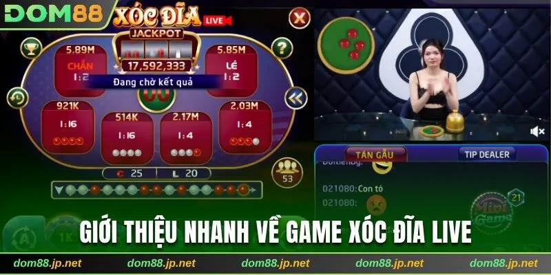 Giới thiệu nhanh về game xóc đĩa Live tại Dom88
