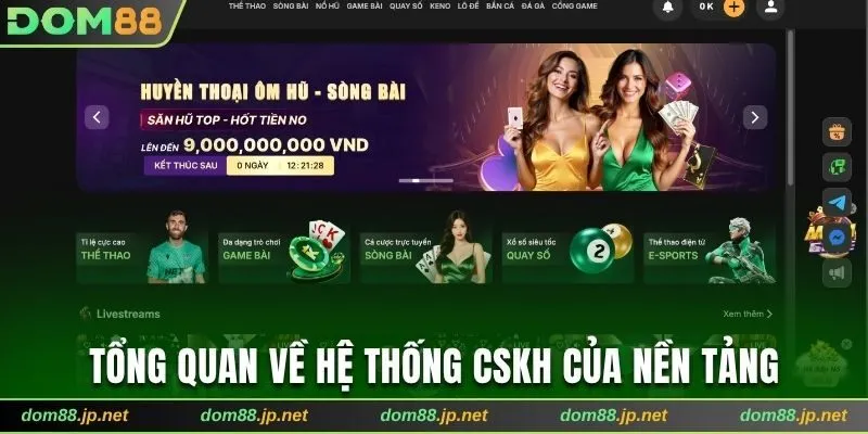 Tổng quan về hệ thống CSKH của nền tảng